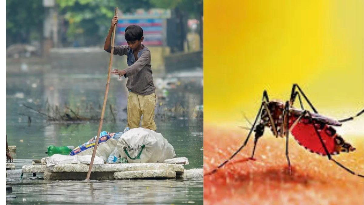 Dengue In Patna