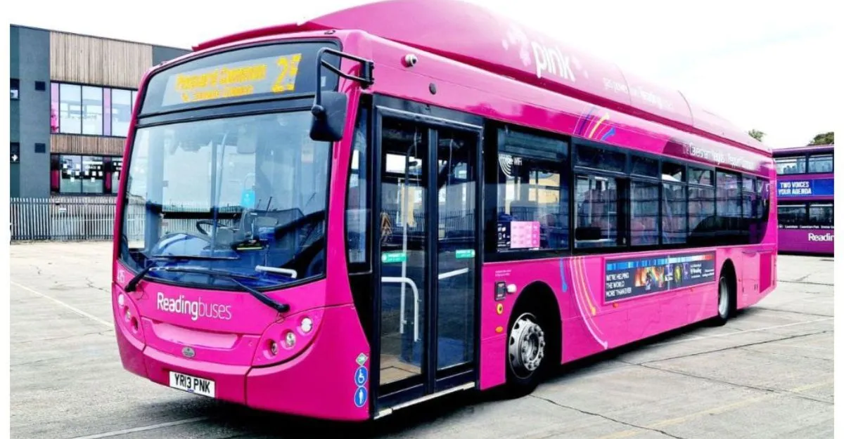 Pink Bus