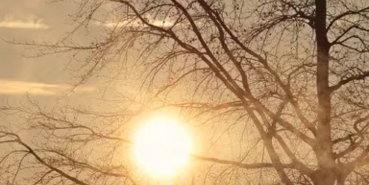 Bihar Weather Update