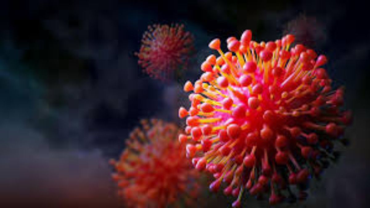 Covid New Variant 2026